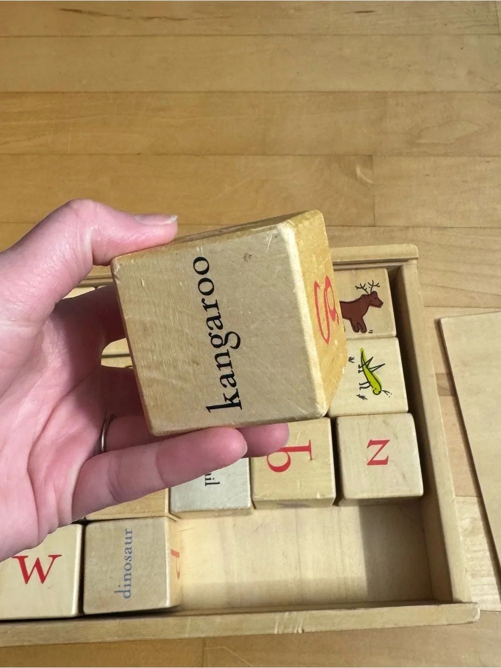 Pottery Barn Kids PBK Learning Alphabet‎ Blocks with storage box Montessori